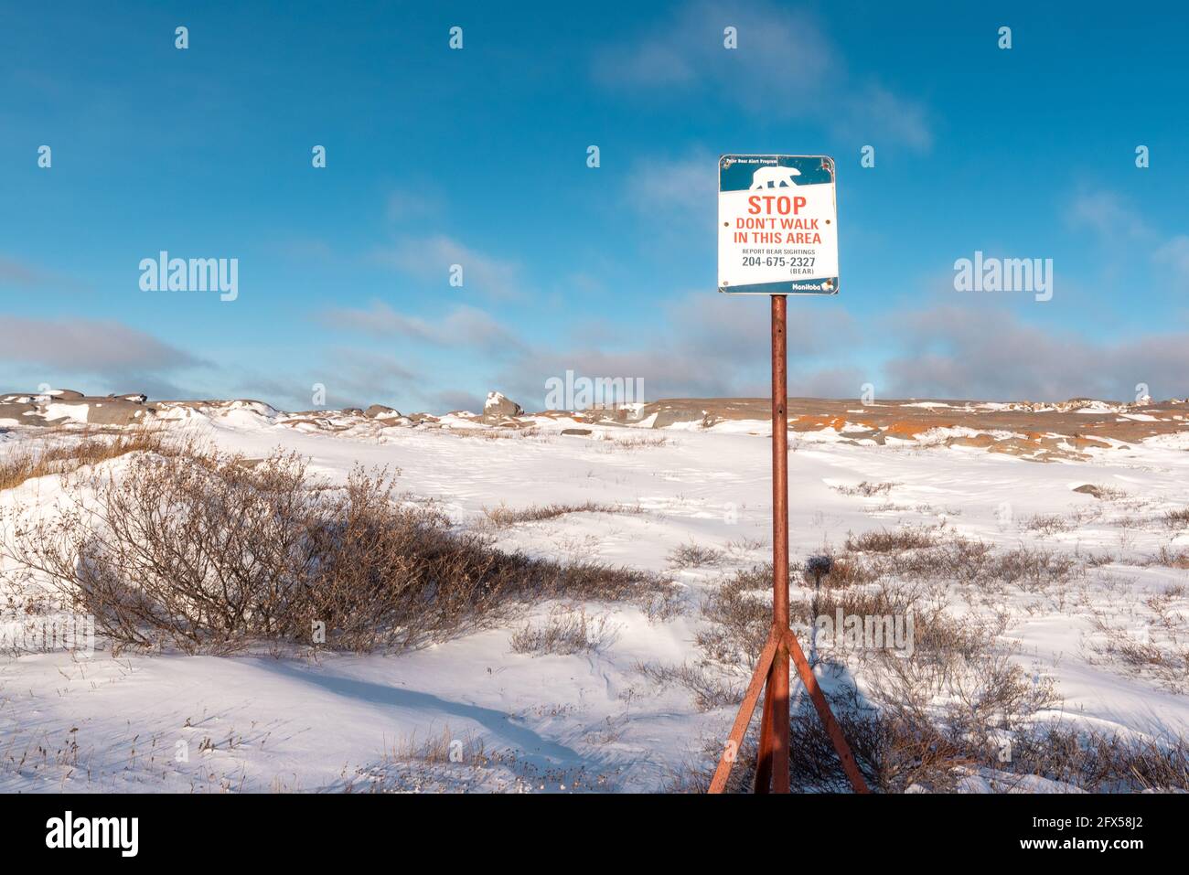 Verschneite eisige Ufer der Hudson Bay in Churchill mit einem Eisbären-Warnschild in der Umgebung, das in der wilden Umgebung angebracht ist. Stockfoto