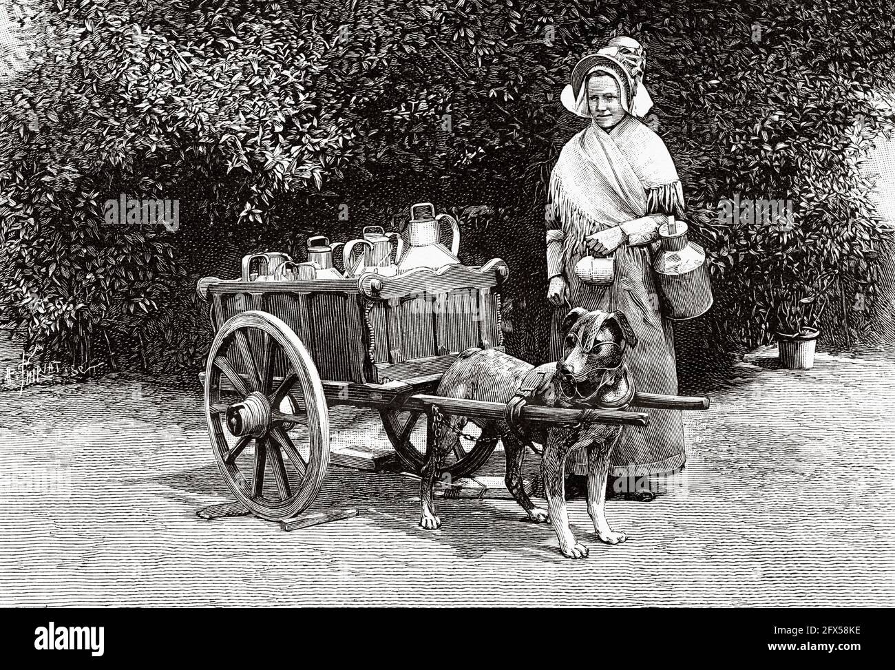 Kleines Auto, das von einem Hund von einer Brüsseler Milchfrau gezogen wird. Alte, gravierte Illustration aus dem 19. Jahrhundert von La Nature 1893 Stockfoto