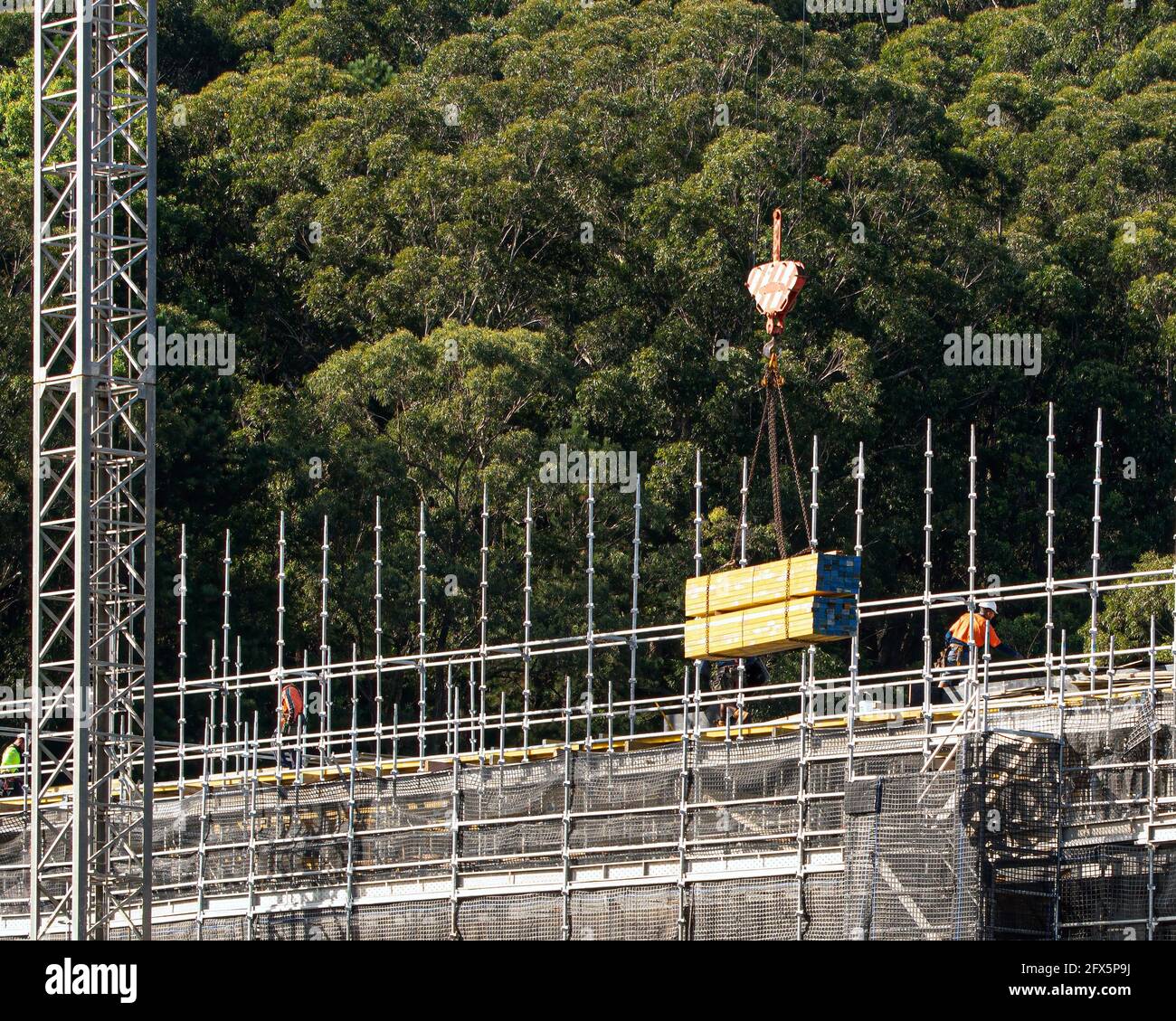 10. April 2021. Arbeiter montieren Bodenschalung auf neuen Sozialwohnungen in 56-58 Beane St. Gosford, Australien. Baureihen. Stockfoto