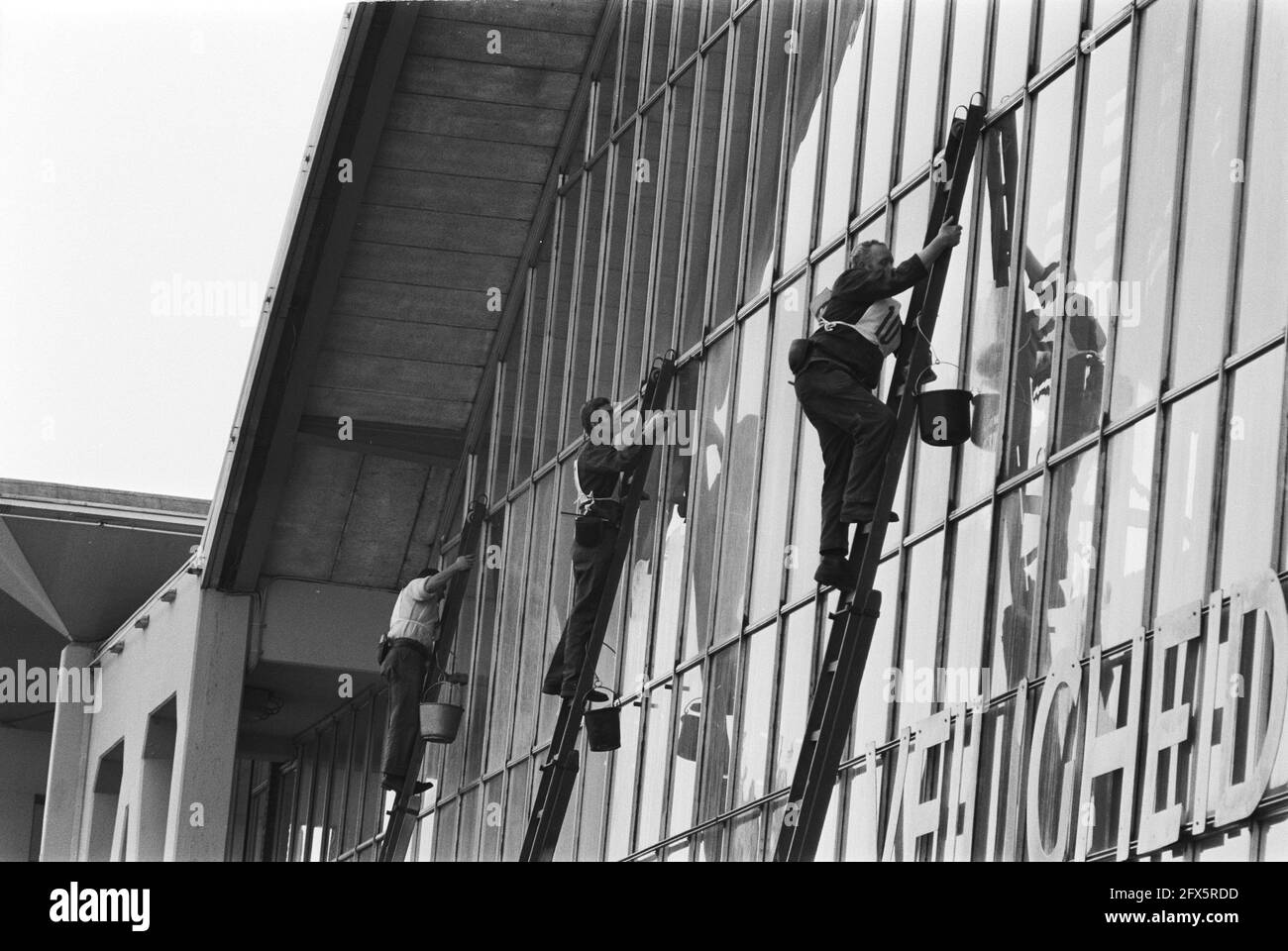 Fensterputzer reinigen die Fenster des RAI, 20. April 1971, Gebäude, Fensterputzer, Leitern, Wettbewerbe, Niederlande, Foto der Presseagentur des 20. Jahrhunderts, zu erinnerende Nachrichten, Dokumentation, historische Fotografie 1945-1990, visuelle Geschichten, Menschliche Geschichte des zwanzigsten Jahrhunderts, Momente in der Zeit festzuhalten Stockfoto