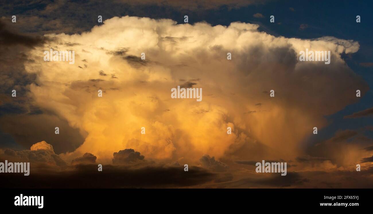 Dramatische, sonnenbeschienene Cumulonimbus-Wolke über der Sonoran-Wüste in der Nähe von Tucson, Arizona Stockfoto