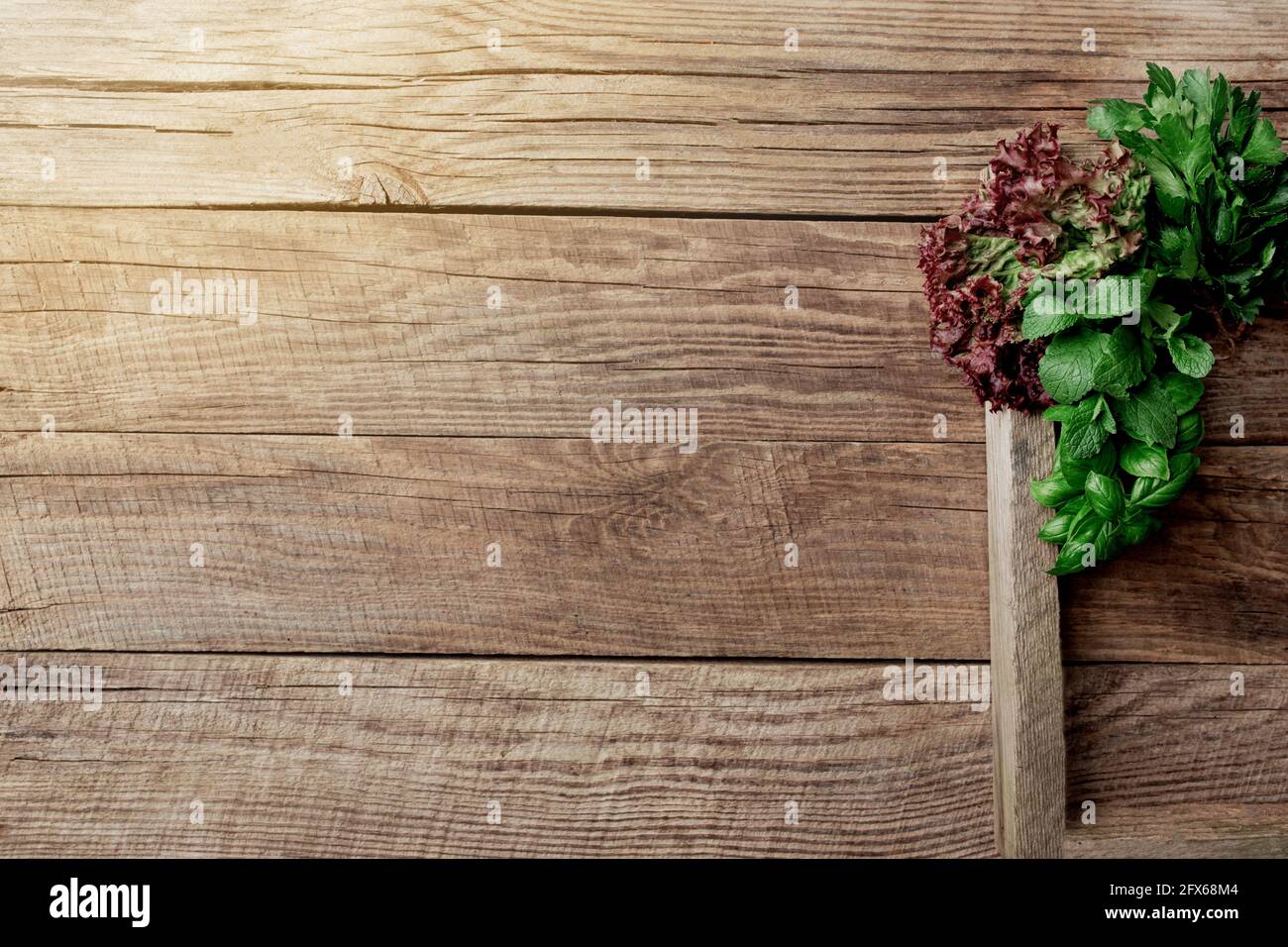 Gartenarbeit und gesundes Esskonzept mit verschiedenen Kräutern und Salat Blätter auf hölzernen Hintergrund in Holzbehälter Stockfoto