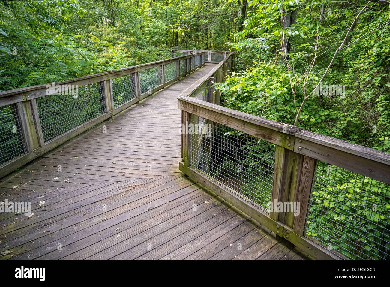 Zickzackige Holzbrücke im Ronald Reagan Park in Lawrenceville, Georgia. (USA) Stockfoto