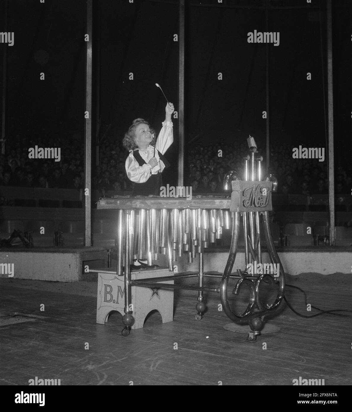 Circus Mikkenie in Turnhout Belgien. Der belgische Wunderkind Mr. Mistin spielt 'Orpheus in der Unterwelt' auf Xylophon., 13. Juli 1951, Zirkusse, Kinder, Musik, Musikinstrumente, Niederlande, Presseagentur des 20. Jahrhunderts, Foto, Nachrichten zu erinnern, Dokumentarfilm, historische Fotografie 1945-1990, visuelle Geschichten, Menschliche Geschichte des zwanzigsten Jahrhunderts, Momente in der Zeit festzuhalten Stockfoto