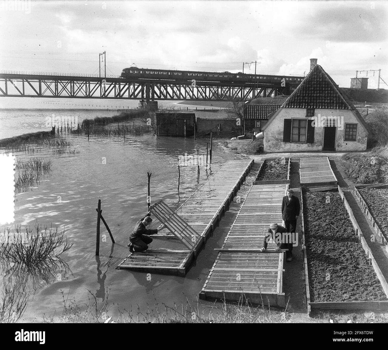 Haus mit Gewächshausgarten, am Wasser, mit Blick auf Eisenbahnbrücke, 14. Oktober 1953, Häuser, Gewächshäuser, Eisenbahnbrücken, Züge, Gärten, Niederlande, Presseagentur des 20. Jahrhunderts, Foto, Nachrichten zum erinnern, Dokumentarfilm, historische Fotografie 1945-1990, visuelle Geschichten, Menschliche Geschichte des zwanzigsten Jahrhunderts, Momente in der Zeit festzuhalten Stockfoto