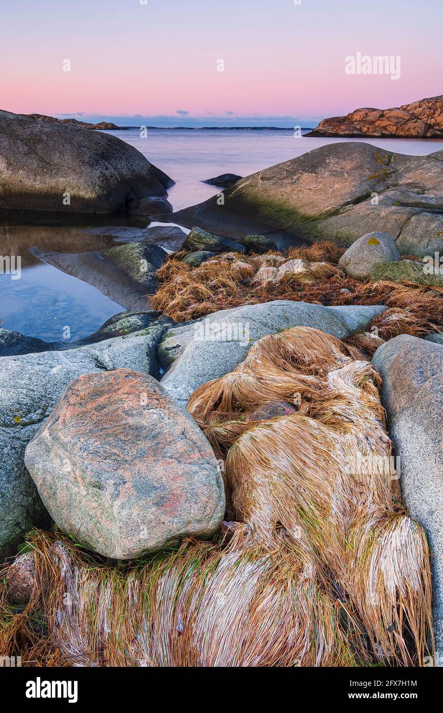 Küstenlandschaft bei Sonnenuntergang, Schweden Stockfoto