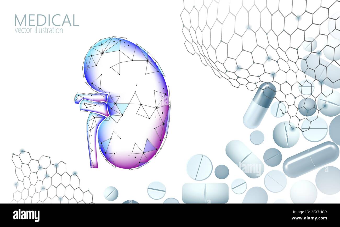 Menschlichen nieren Medizin Behandlung Konzept. Medizinische Hilfe die Therapie. Harnwege Krebs abdomen Prävention Plakat Vorlage. Apotheke Pille 3D Stock Vektor