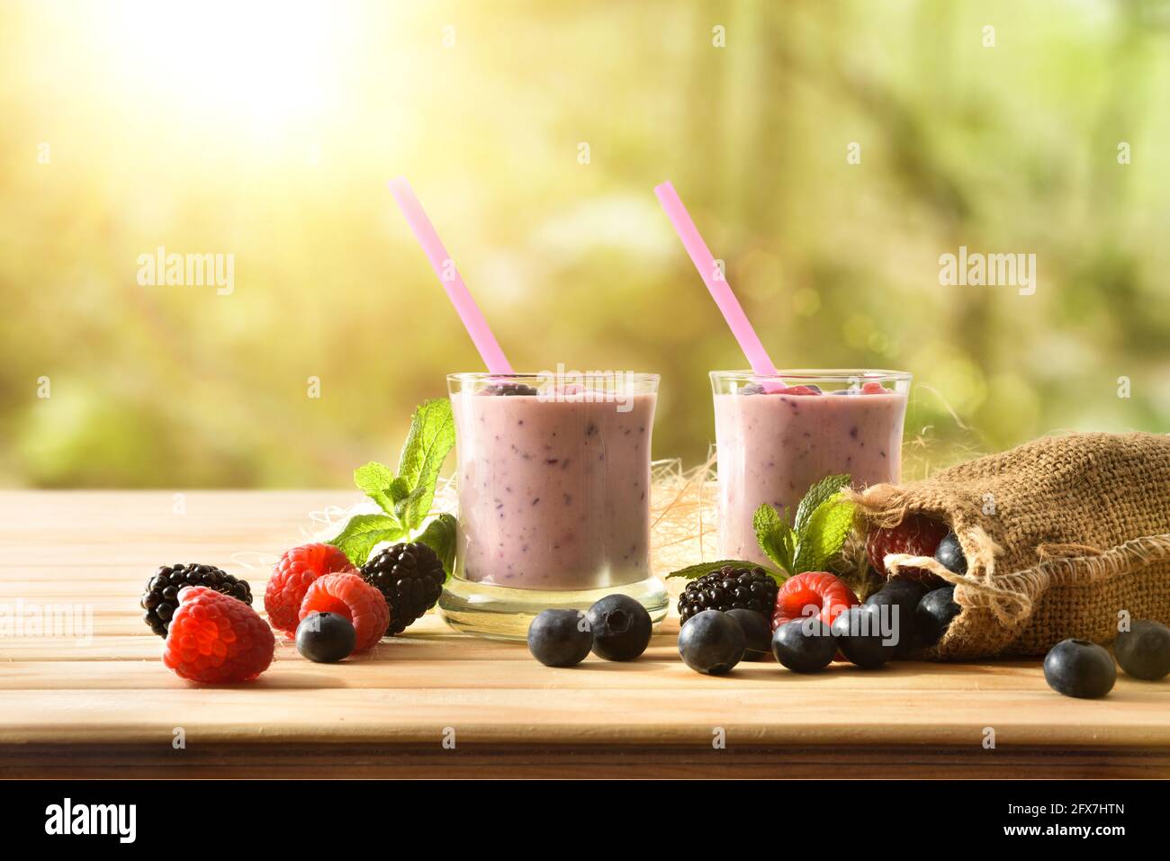 Waldbeerjoghurt Smoothie in Gläsern auf Holztisch mit Sack voller Heidelbeeren, Brombeeren Himbeeren mit grünem Waldhintergrund. Stockfoto