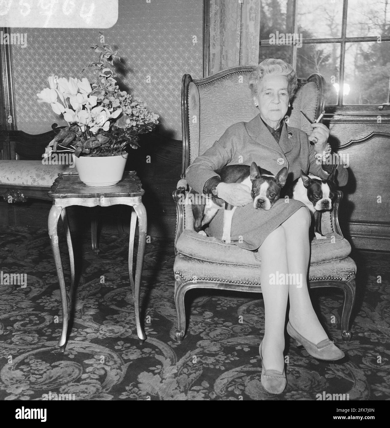 Prinzessin Armgard, Mutter von Prinz Bernhard, sitzend mit zwei Hunden auf dem Schoß, während sie eine Zigarette rauchte, anlässlich ihres 82. Geburtstages, 17. Dezember 1965, Hunde, Prinzessinnen, Rauchen, Niederlande, Foto der Presseagentur des 20. Jahrhunderts, zu erinnerende Nachrichten, Dokumentarfilm, historische Fotografie 1945-1990, visuelle Geschichten, Menschliche Geschichte des zwanzigsten Jahrhunderts, Momente in der Zeit festzuhalten Stockfoto