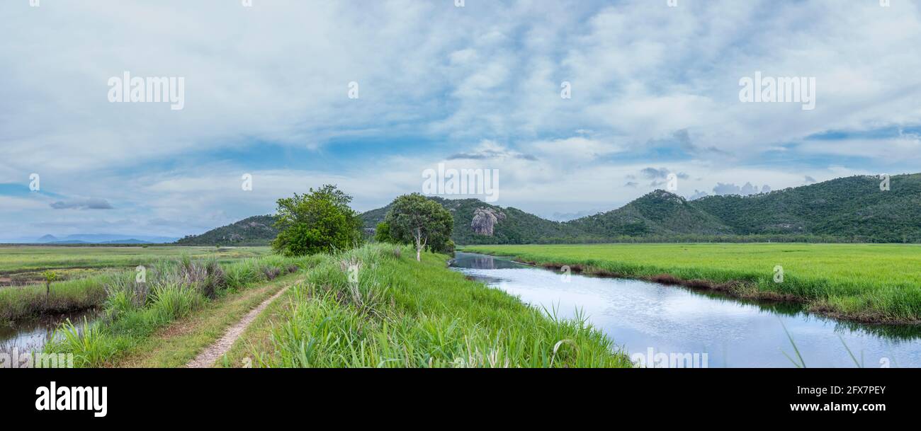 Blick auf den Feuchtgebiet-Pfad im Gemeinderaum der Stadt von den vielen Gipfeln Wanderung zum Mount Marlow, Townsville Town Common Queensland, Australien. Stockfoto