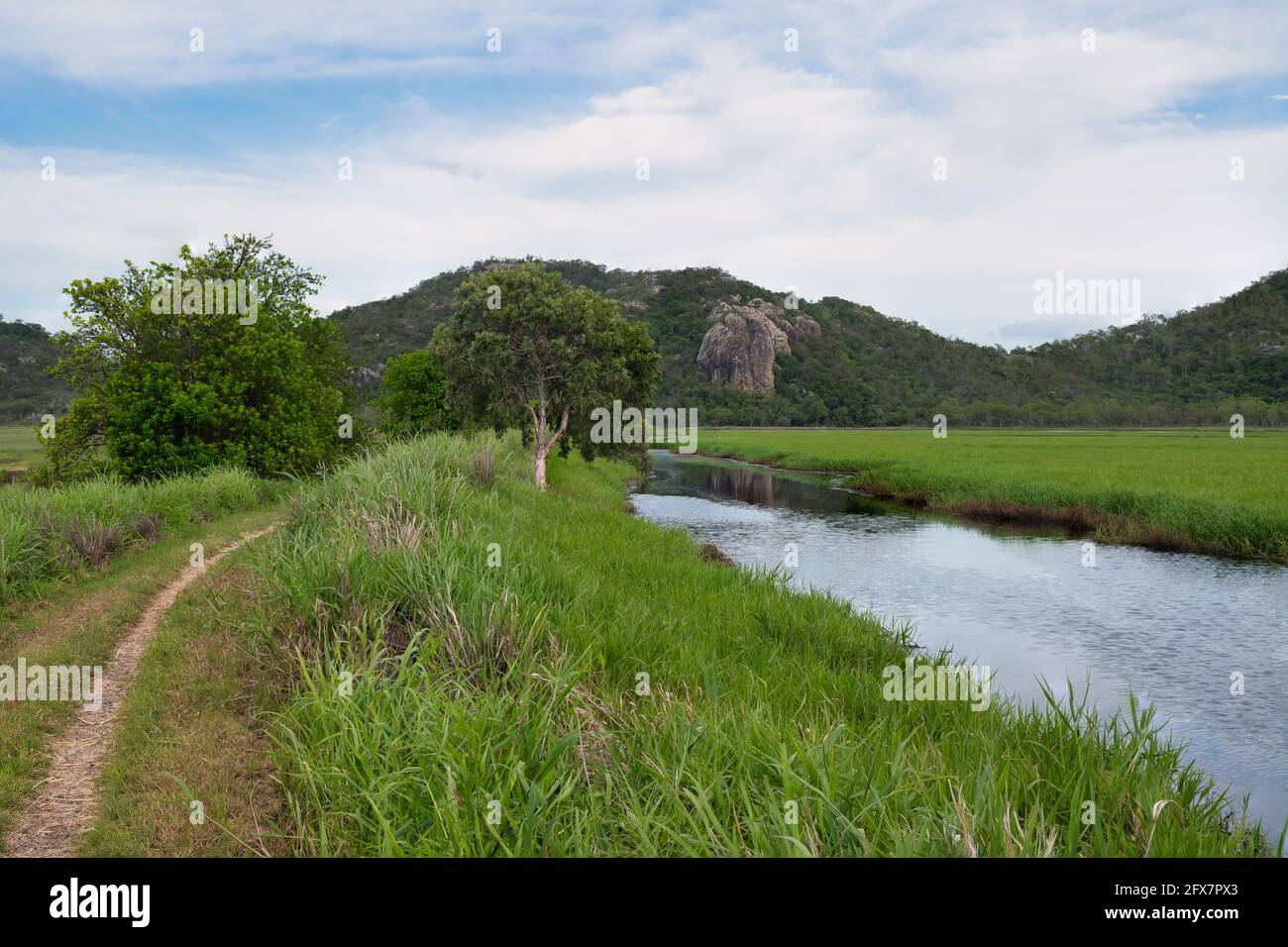 Blick auf den Feuchtgebiet-Pfad im Gemeinderaum der Stadt von den vielen Gipfeln Wanderung zum Mount Marlow, Townsville Town Common Queensland, Australien. Stockfoto