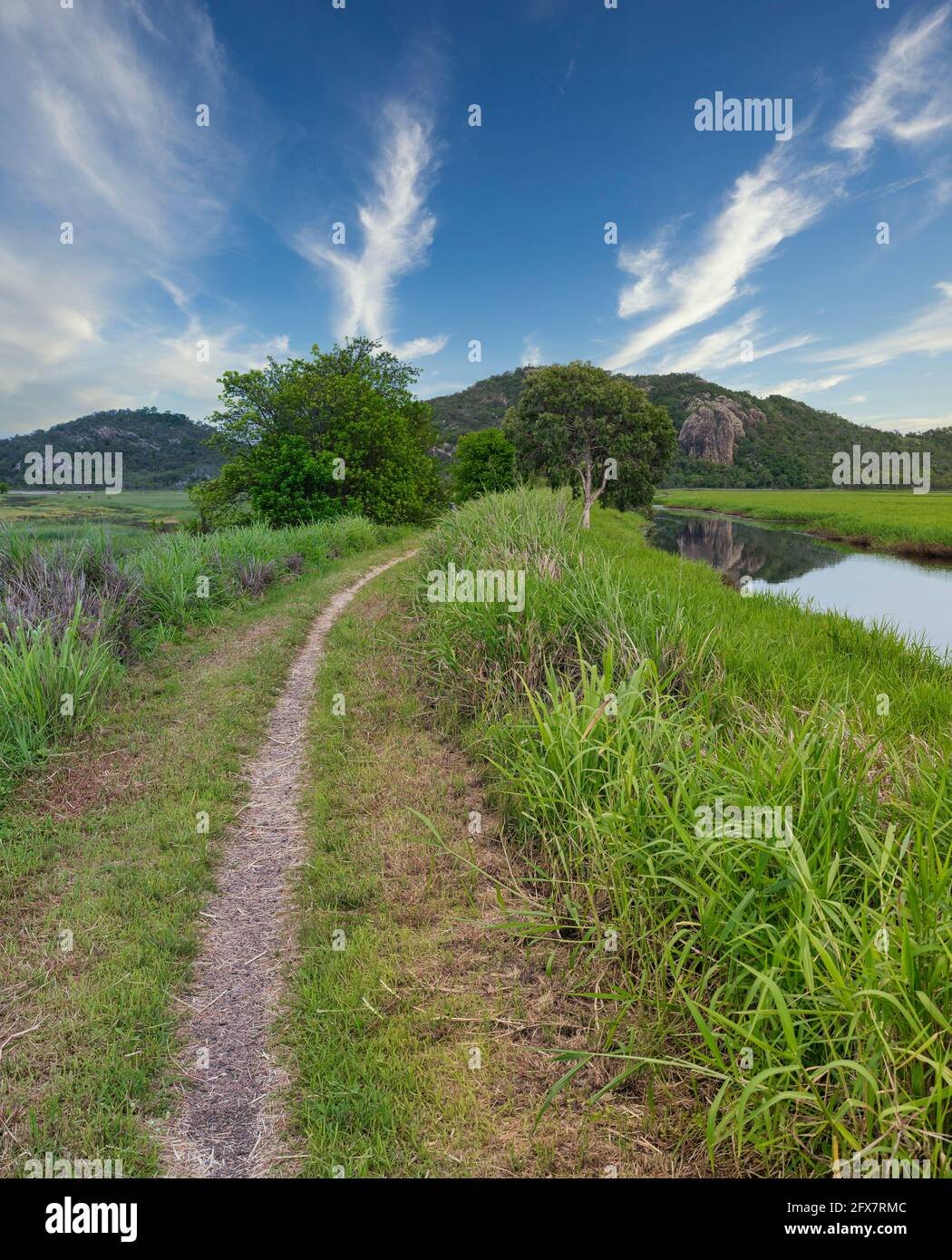 Blick auf den Feuchtgebiet-Pfad im Gemeinderaum der Stadt von den vielen Gipfeln Wanderung zum Mount Marlow, Townsville Town Common Queensland, Australien. Stockfoto