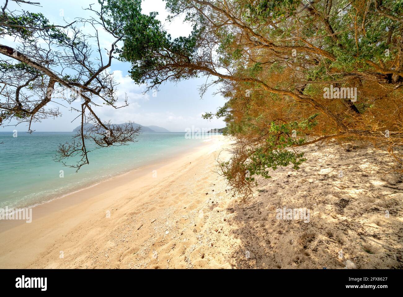 Der Strand auf der Insel Con Dao in Vietnam Stockfoto