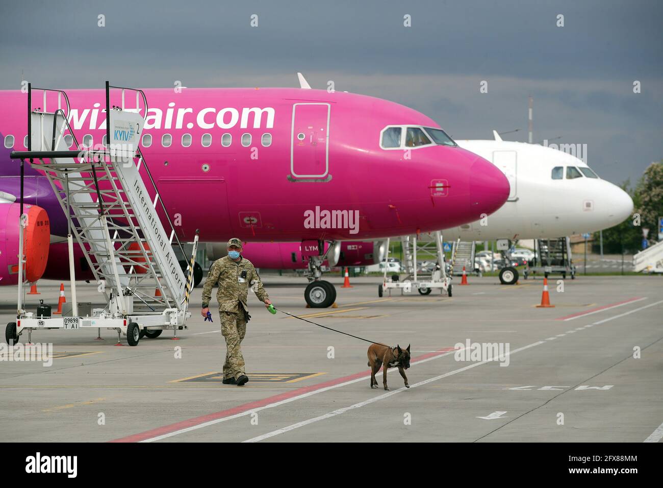 Kiew, Ukraine, 26. Mai 2021. Ein Grenzposten mit einem Diensthund wird auf dem Asphalt gesehen, als sie auf das Flugzeug warten, in dem die erste Charge des Pfizer-BioNTech-Impfstoffs, der auf öffentlichen Kosten erworben wurde, auf dem Igor Sikorsky Kiev International Airport (Zhuliany), Kiew, der Hauptstadt der Ukraine, landet. Kredit: Ukrinform/Alamy Live Nachrichten Stockfoto