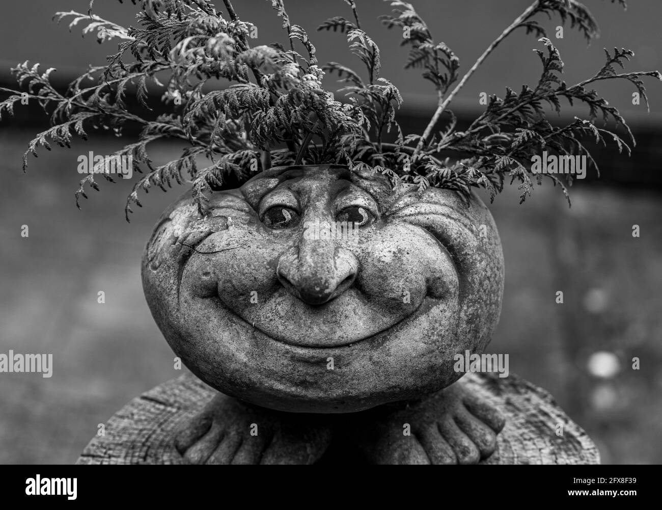 Geschnitzter Steinpflanzentopf mit einem lustigen Gesicht - schwarz Und weiß Stockfoto