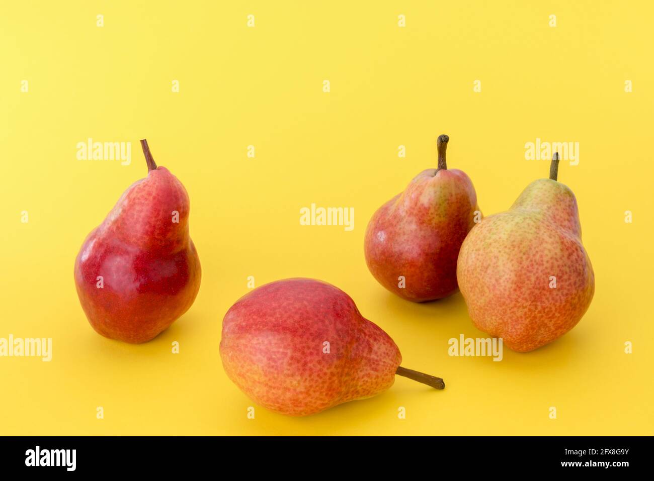William Max Red Bartlett Birne, vier ganze Birnen isoliert auf gelbem Hintergrund, Kopierraum Stockfoto