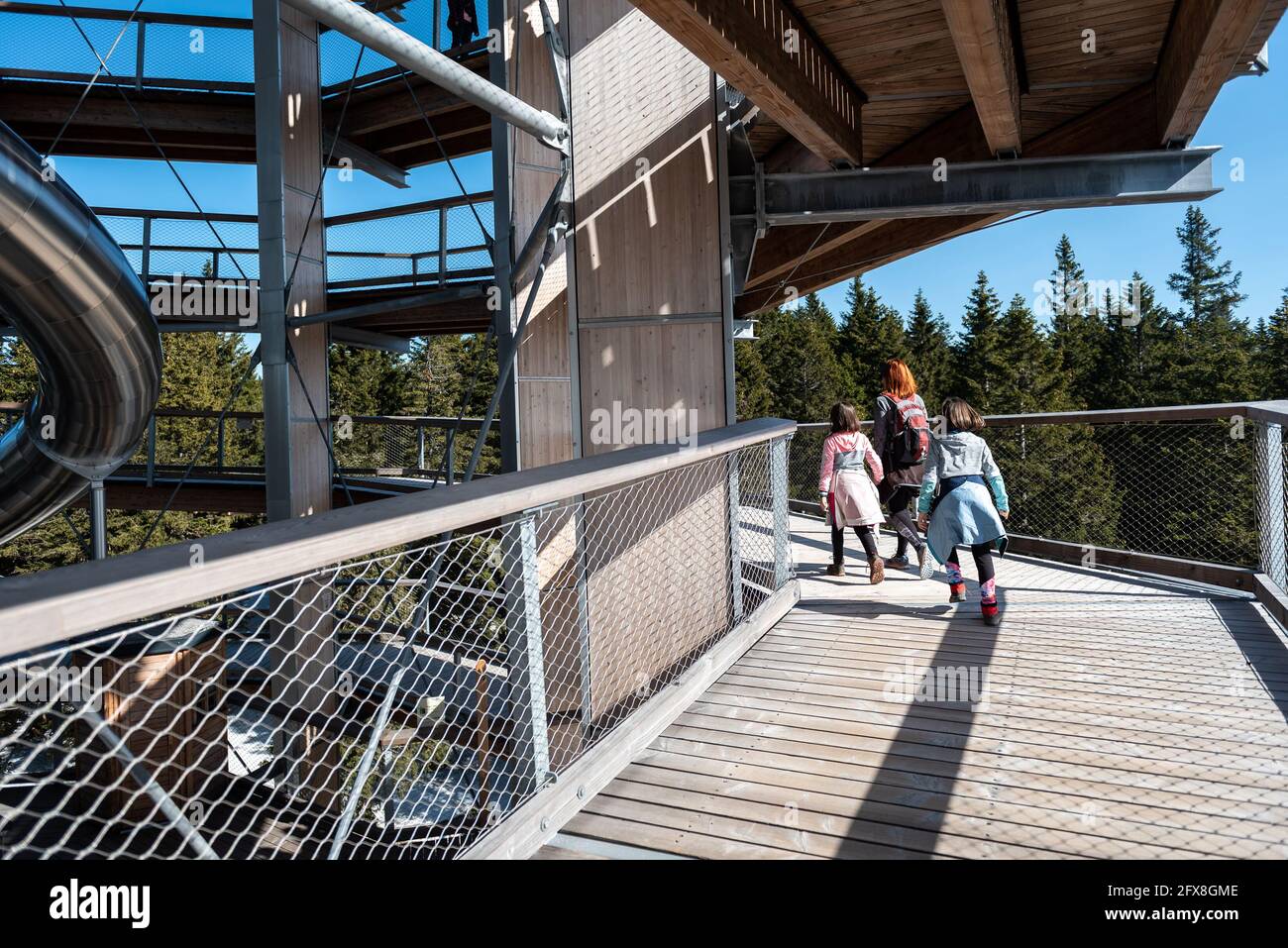 Familien gehen im Winter auf der Aussichtsplattform mit Holzkäfeln. Familie mit Kindern, die durch Baumkronen auf einem Holzbalkon-Steg durch die Baumkronen laufen Stockfoto