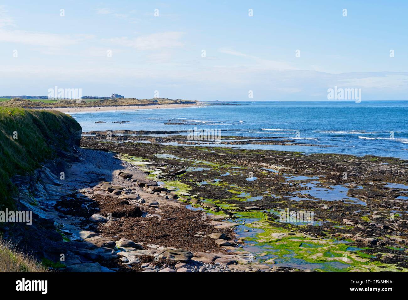 Entlang der Küste von Northumbrian von Seahouses zu einem weit entfernten Strand und darüber hinaus Stockfoto
