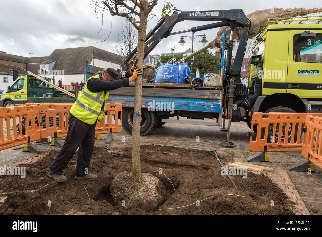 EPSOM, Großbritannien - CA. JANUAR 2019: Mann in einer gut sichtbaren gelben Jacke, der einen neuen Baum in ein Loch im Boden im Stadtzentrum schiebt Stockfoto