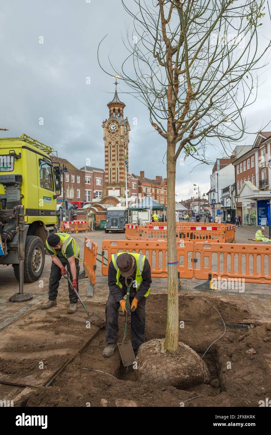 EPSOM, Großbritannien - CA. JANUAR 2019: Zwei Männer in gut sichtbaren Jacken fallen die Erde in das Loch um die Baumwurzeln im Boden im Stadtzentrum Stockfoto