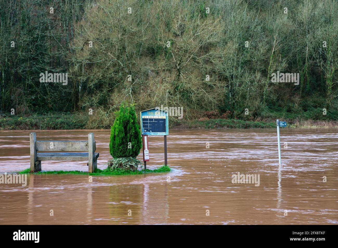 Der Fluss Wye in Spate bei Brockweir. Stockfoto