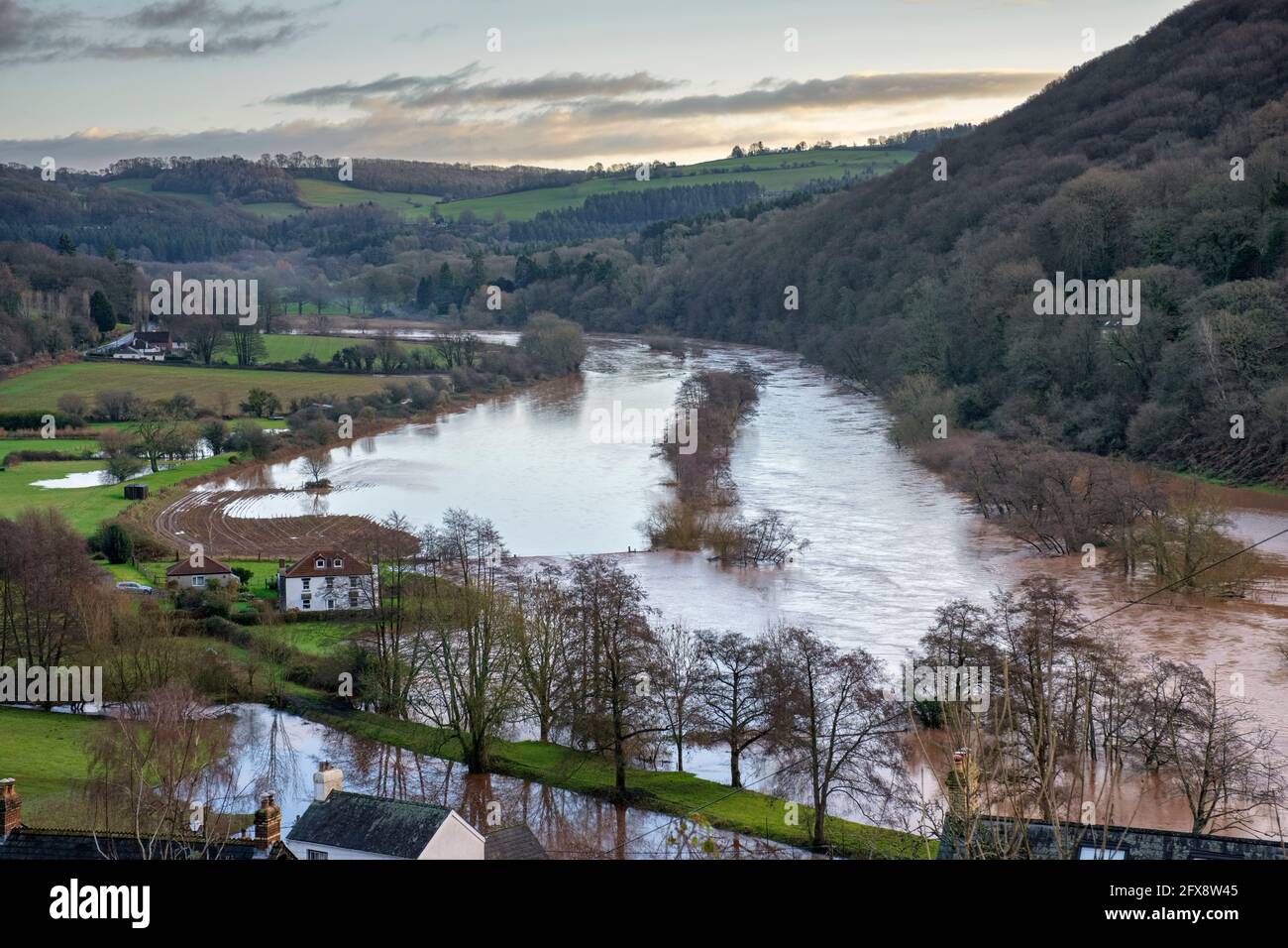 Der Fluss Wye in Flut bei Llandogo. Stockfoto