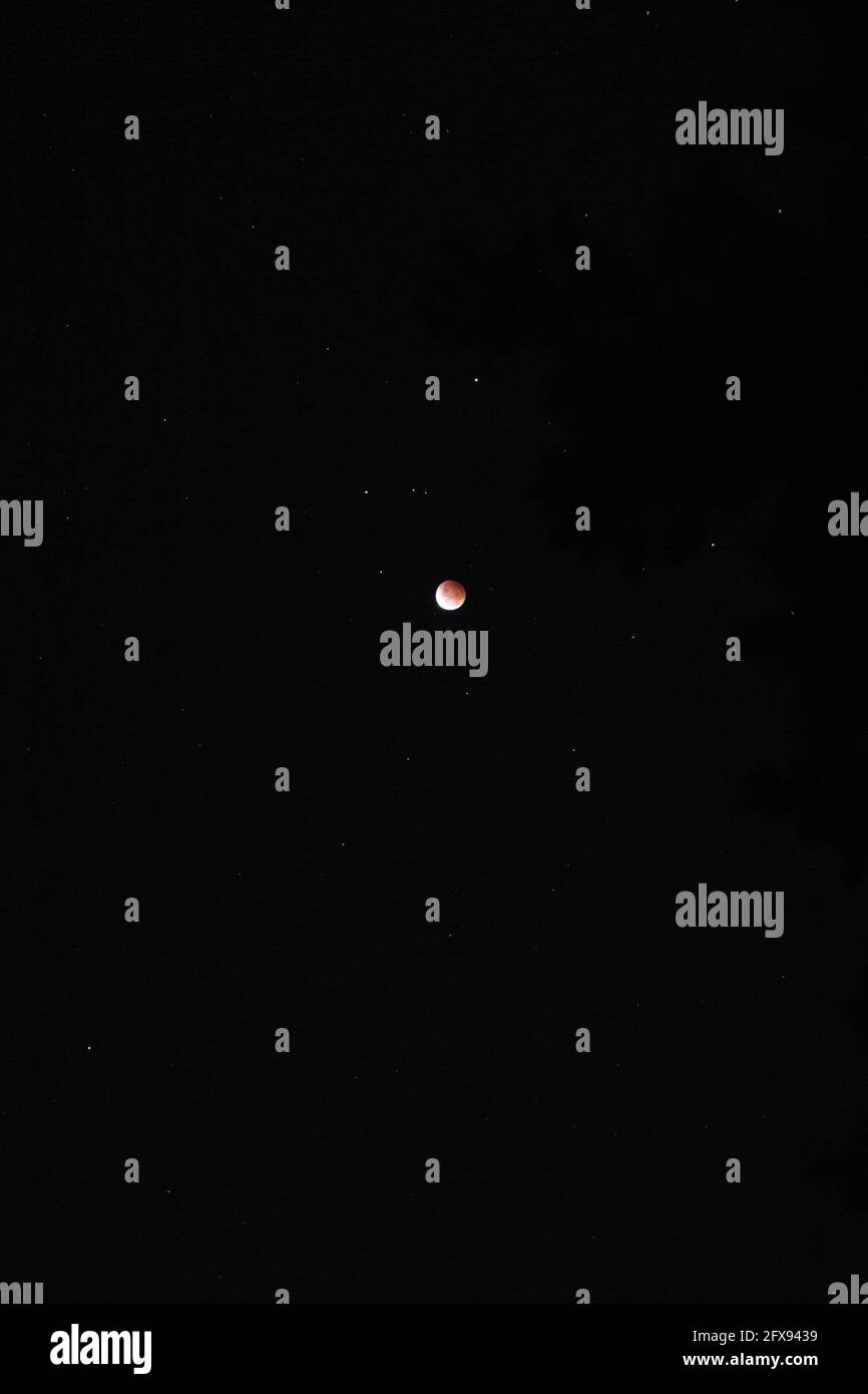 Roter Mond an einem dunklen Himmel in Australien Stockfoto