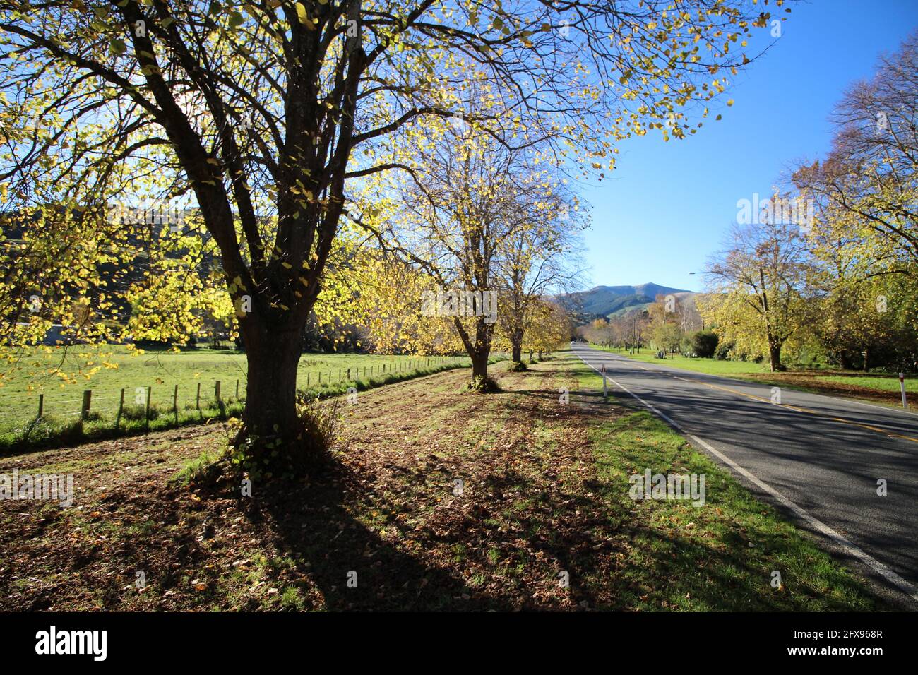 Akaroa, Neuseeland Stockfoto