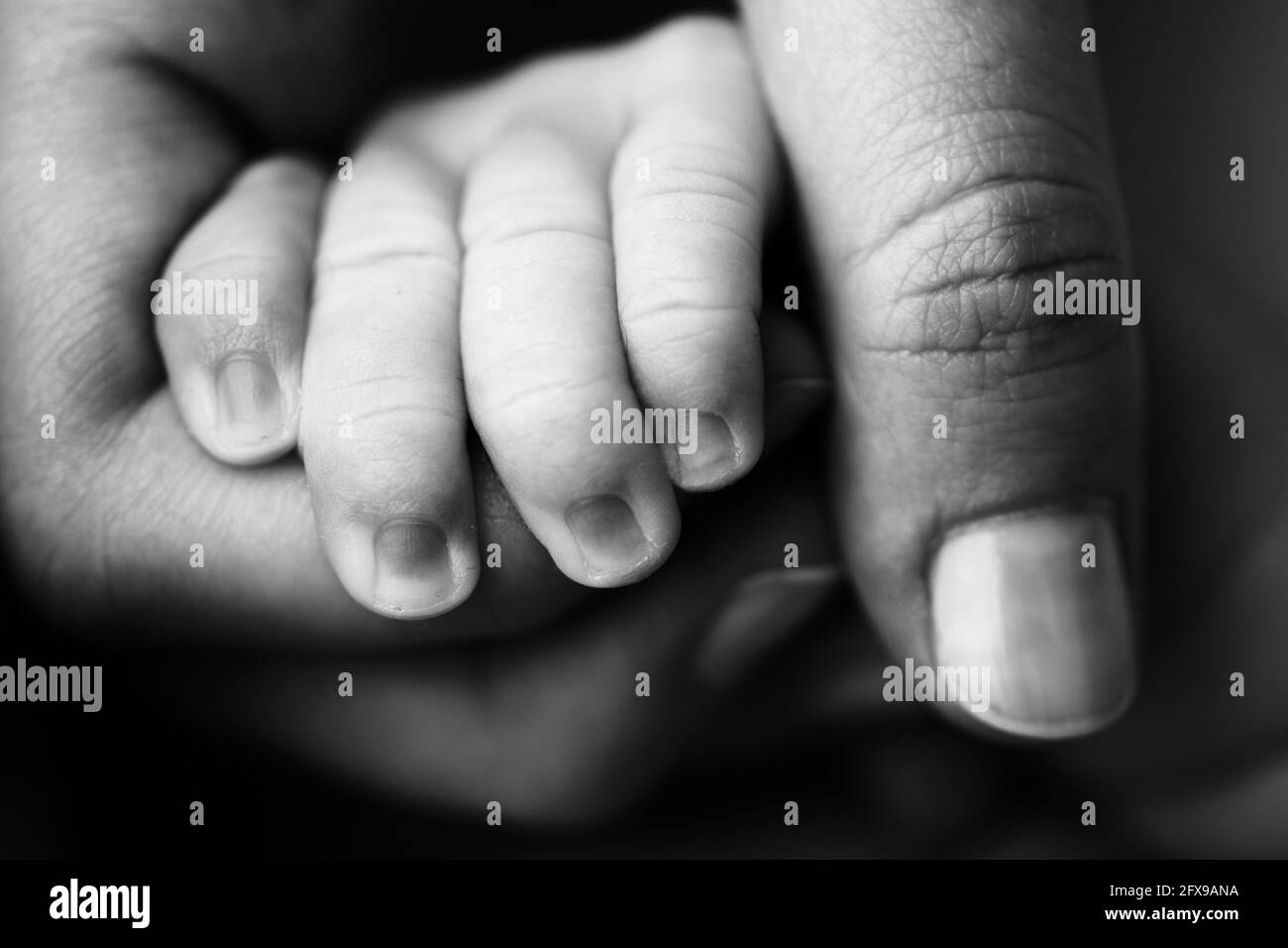 Ein Neugeborenes hält sich an den Finger der Mutter, des Vaters. Hände von Eltern und Baby aus nächster Nähe. Ein Kind vertraut und hält sie fest. Schwarzweiß-Foto. Stockfoto