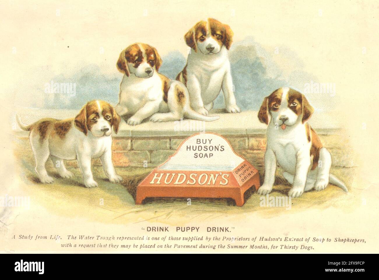 Chromolithographierte Werbung, die Welpen um einen Wassertrog zeigte, was ein Verschenken an Ladenbesitzer war, um Hudson's Soap um 1895 zu bewerben, „mit der Bitte, dass sie während der Sommermonate für Thirsty Dogs auf dem Bürgersteig platziert werden sollte“. Stockfoto