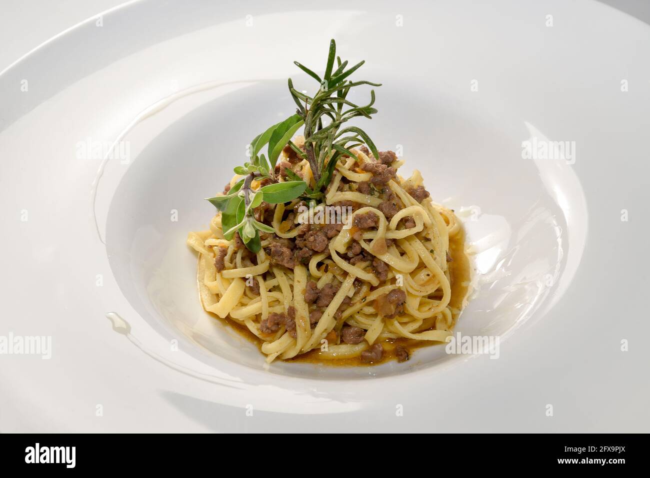 Fettuccine alla Bolognese, Tagliolini-Pasta mit Fleischsoße und Salbei- und Majoran-Zweige in einem weißen Gericht Stockfoto