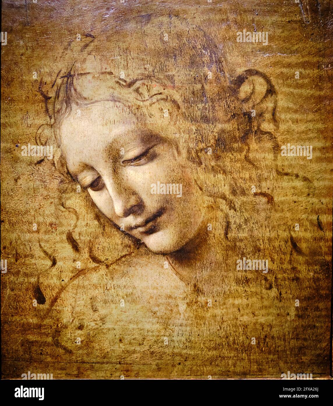 Italien, Parma, Galleria Nazionale, Leonardo da Vinci, Frauenkopf, Bekannt als La scapiliata Stockfoto