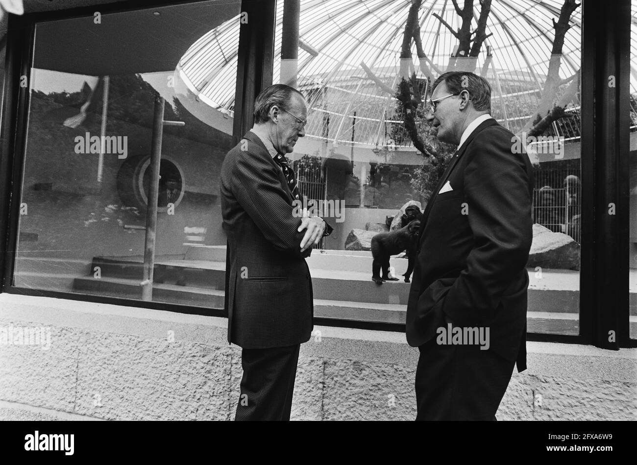 Zoos, Prinzen, Affen, Bernhard, Prinz (1911-2004), 11. Juni 1979, Affen, Zoos, Prinzen, Niederlande, Presseagentur des 20. Jahrhunderts, Foto, Nachrichten zum erinnern, Dokumentarfilm, historische Fotografie 1945-1990, visuelle Geschichten, Menschliche Geschichte des zwanzigsten Jahrhunderts, Momente in der Zeit festzuhalten Stockfoto