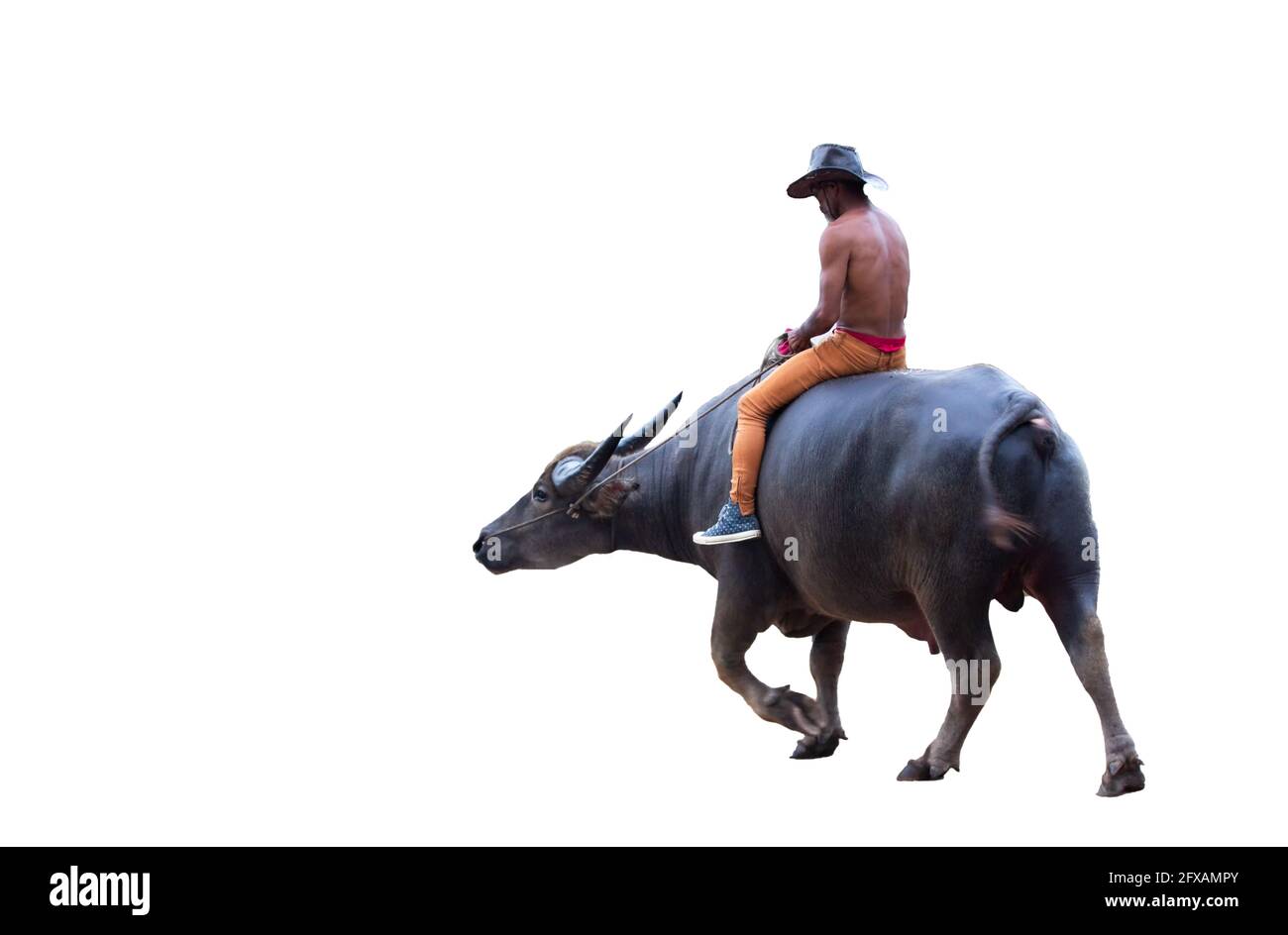 Landwirt reiten einen Büffel auf dem Feld auf dem Land. Diese Lifestyle Thai Menschen in Land Thailand. Stockfoto