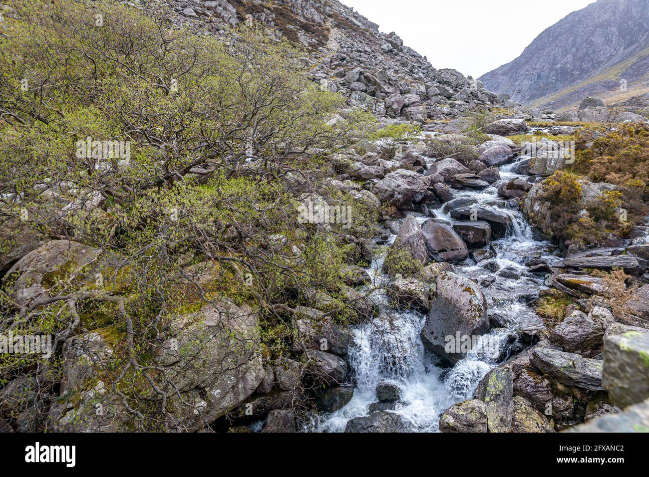 Oberer Teil der Ogwen Falls von der Pont Pen-y-Benglog Bridge, Llyn Ogwen, Snowdonia National Park, Wales. Stockfoto