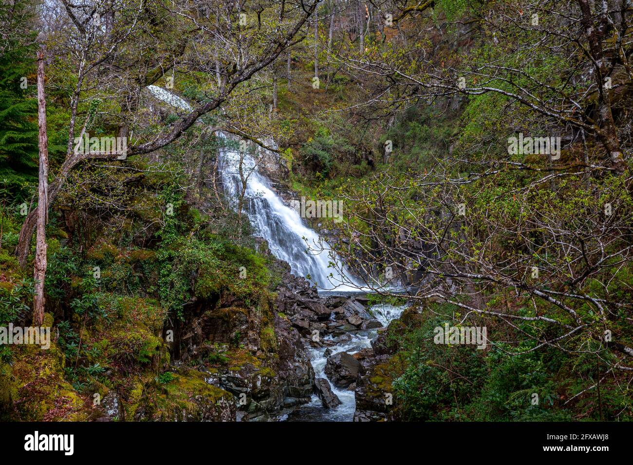 Pistyll Cain Wasserfall, Coed y Brenin Forest, Gwynedd, Wales. Stockfoto