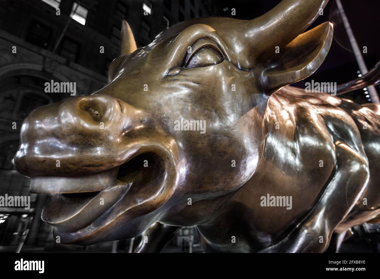 Der lächelnde Bowling Green Bull in der Nacht. Downtown Manhattan, New York, NY, USA Stockfoto