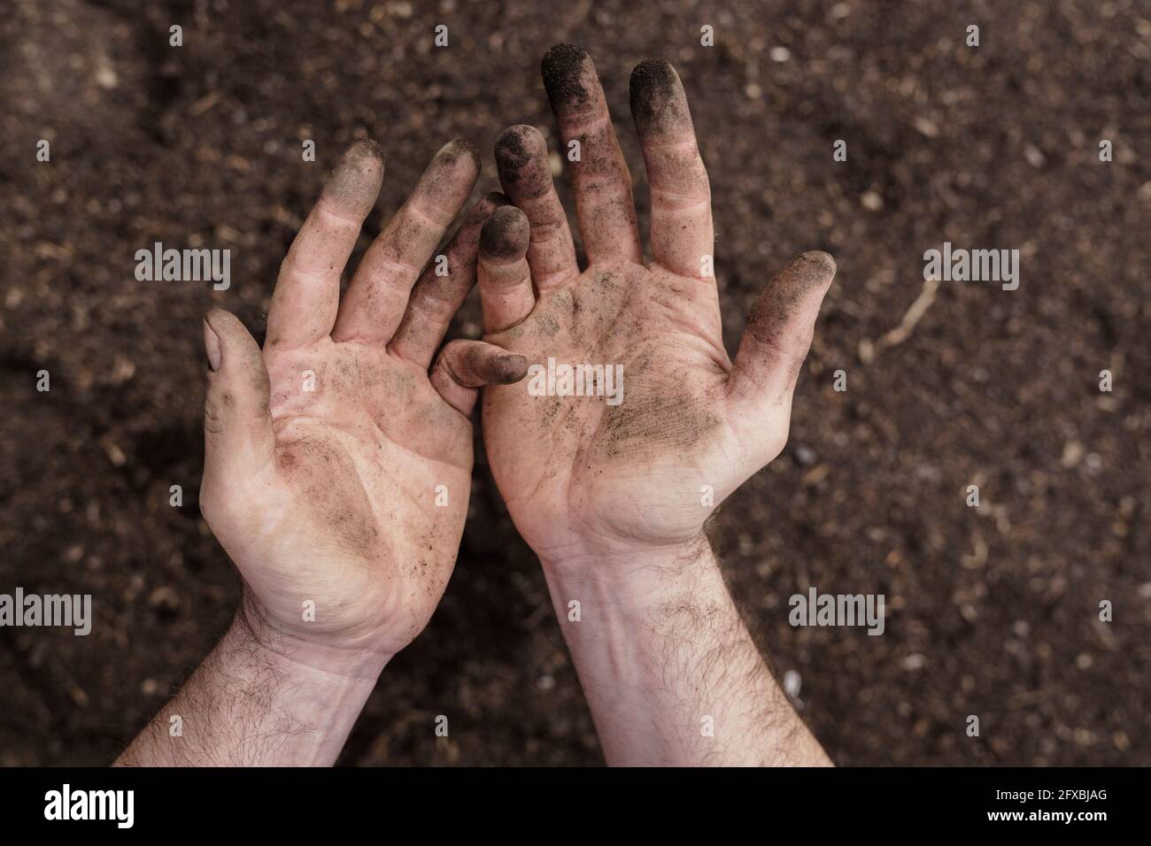 Schmutzige Hände auf reifen Mann über Boden Stockfoto