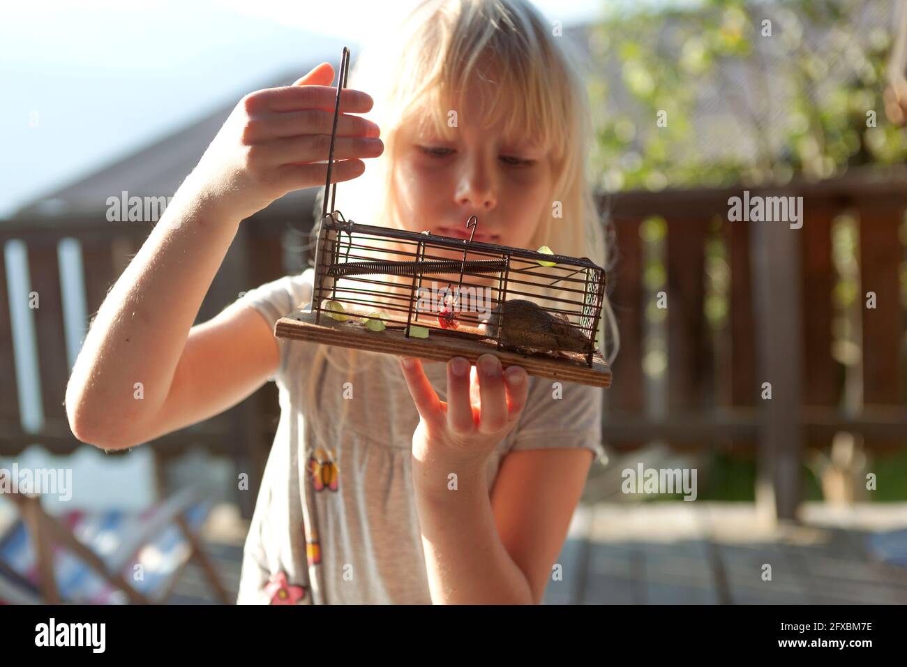 Blonde Mädchen Blick auf die Maus im Käfig während des sonnigen Tages Stockfoto