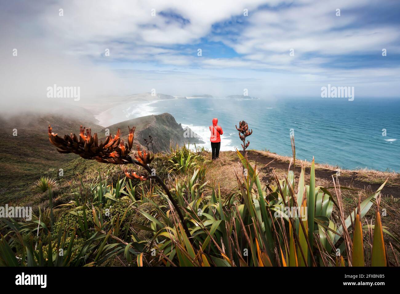 Ein einesiger Mann, der den Blick auf den Pazifischen Ozean vom Rand der Küstenklippe am Cape Reinga bewundert Stockfoto