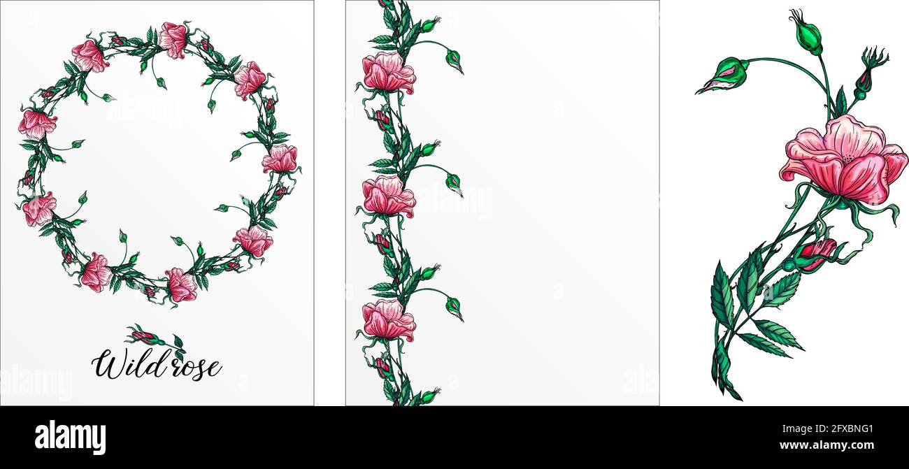 Eine Reihe von Postkarten mit Rosenblumen. Rosa Blüten. Rose. Stock Vektor