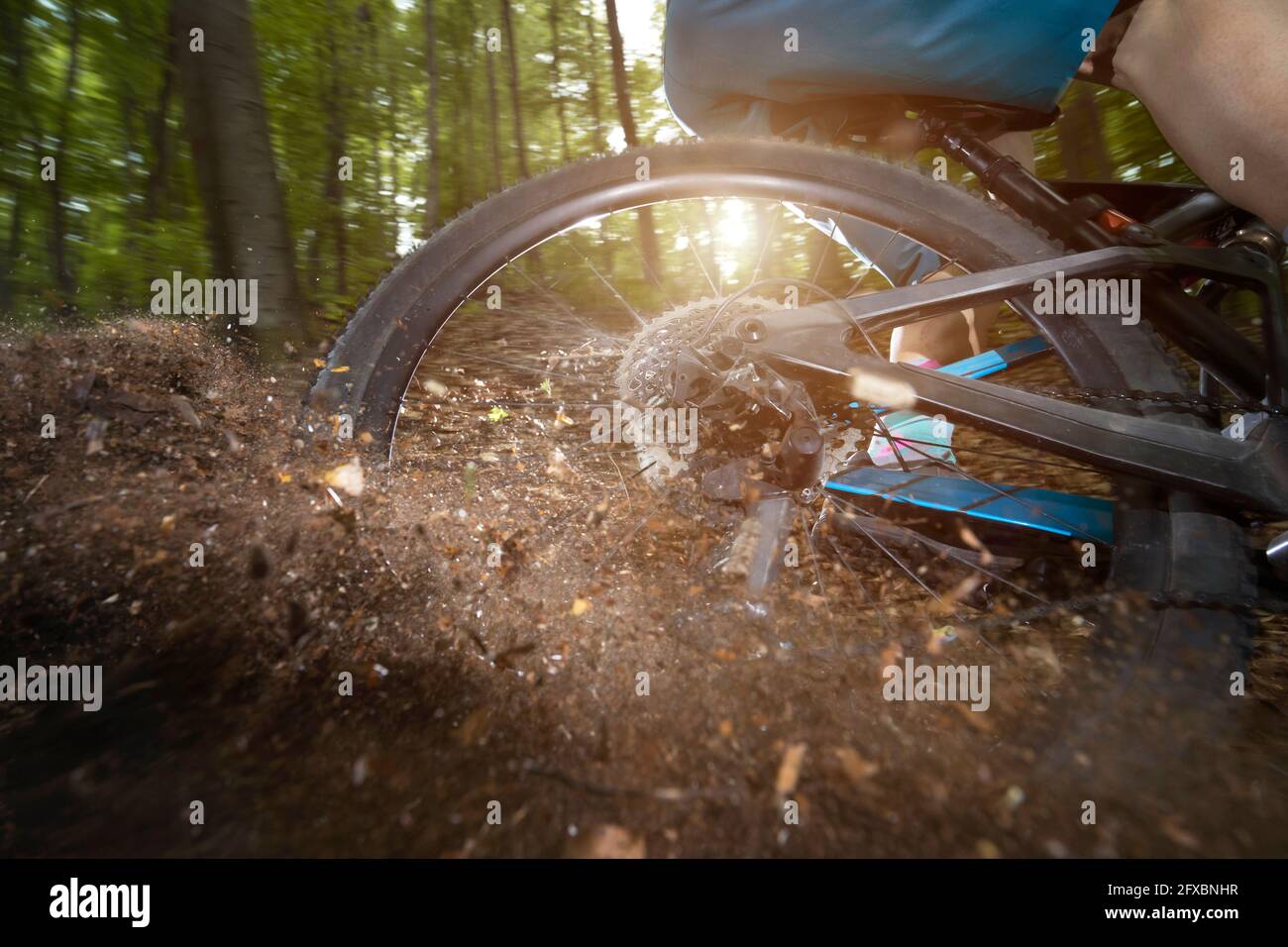 Hinterrad des Fahrrads driftet auf unbefestigten Straßen am Wald Stockfoto