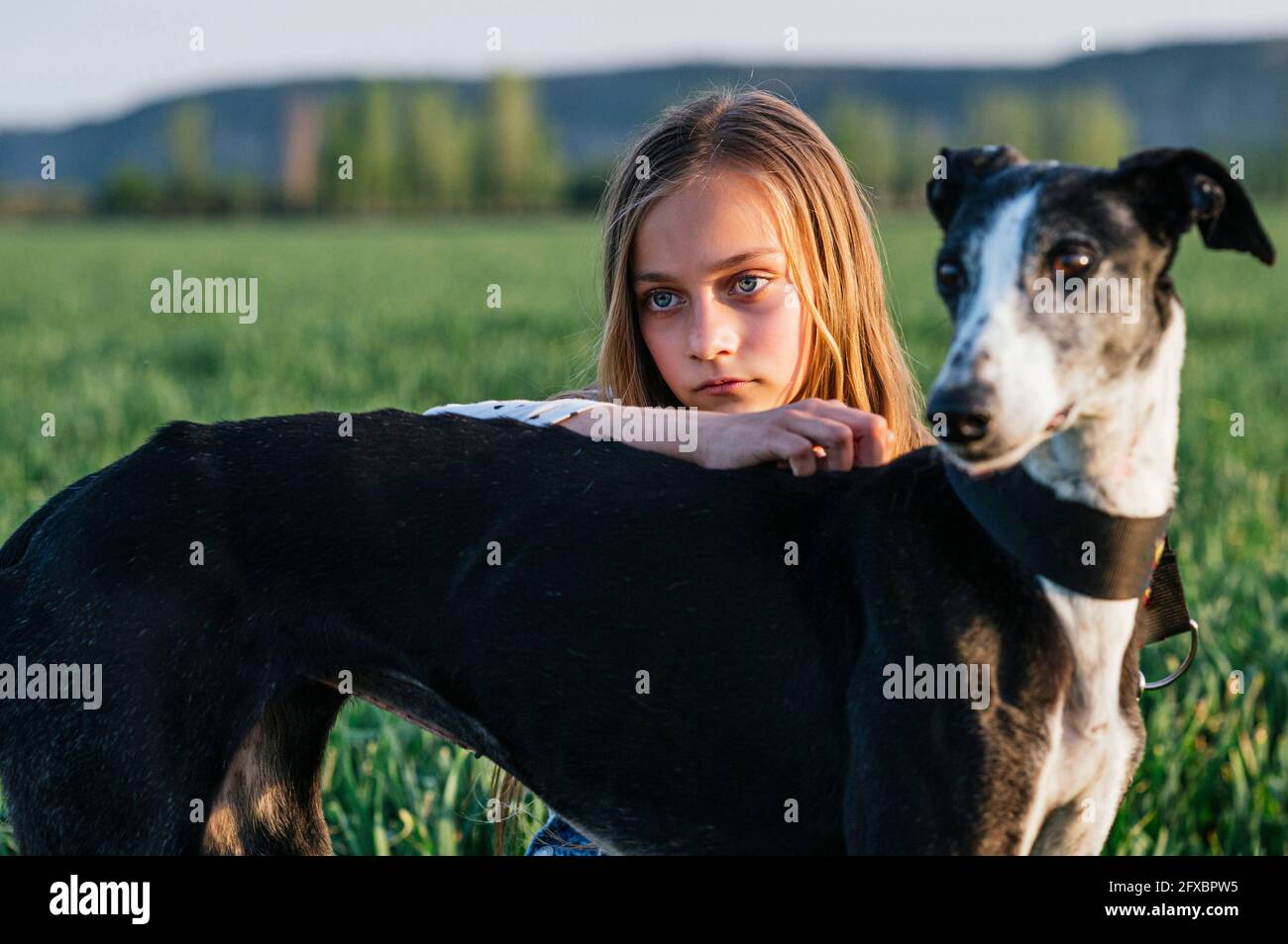 Mädchen mit Windhund schaut weg Stockfoto