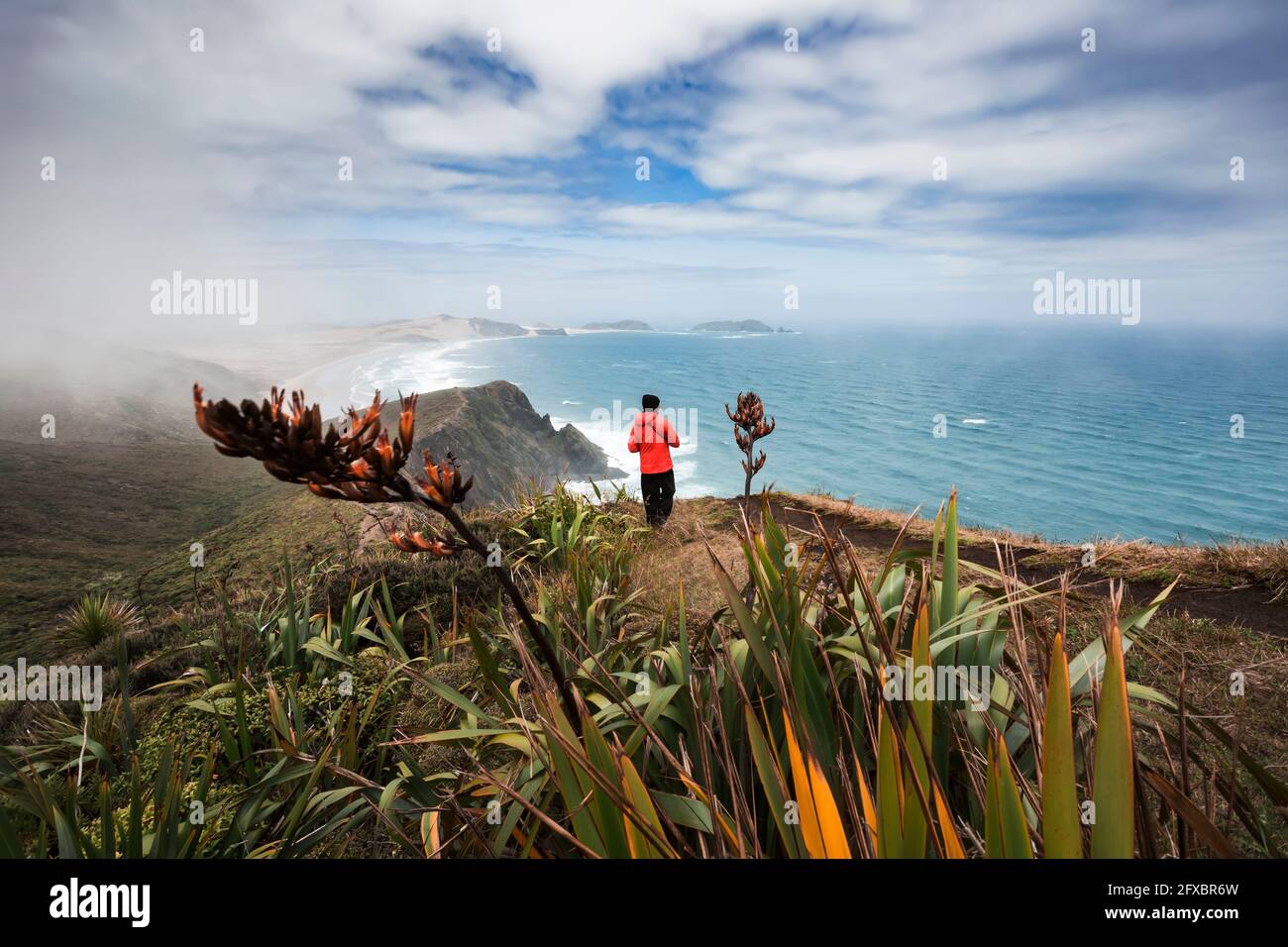 Ein eindringlicher Mann, der den Blick auf den Pazifischen Ozean vom Rand der Küstenklippe bei CapeÂ Reinga aus bewundert Stockfoto