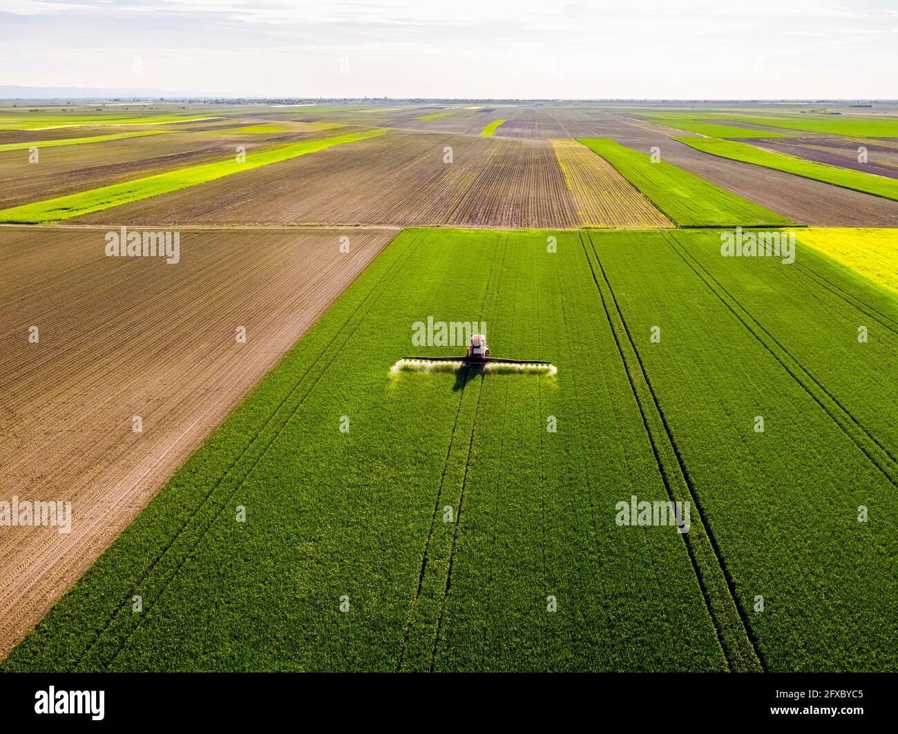 Traktor düngt nicht kultivierten Weizenanbau Stockfoto