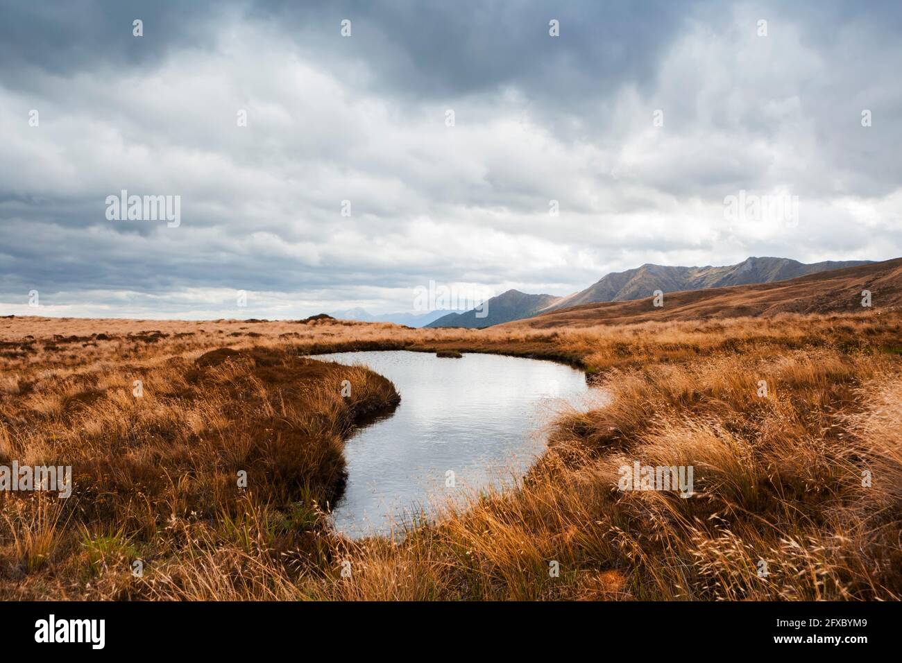 Neuseeland, Südinsel, Fiordland National Park, Regenwolken über der Wildnis Stockfoto