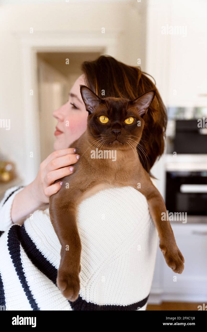 Weibliche Tierbesitzerin, die zu Hause eine birmanische Katze auf der Schulter trägt Stockfoto