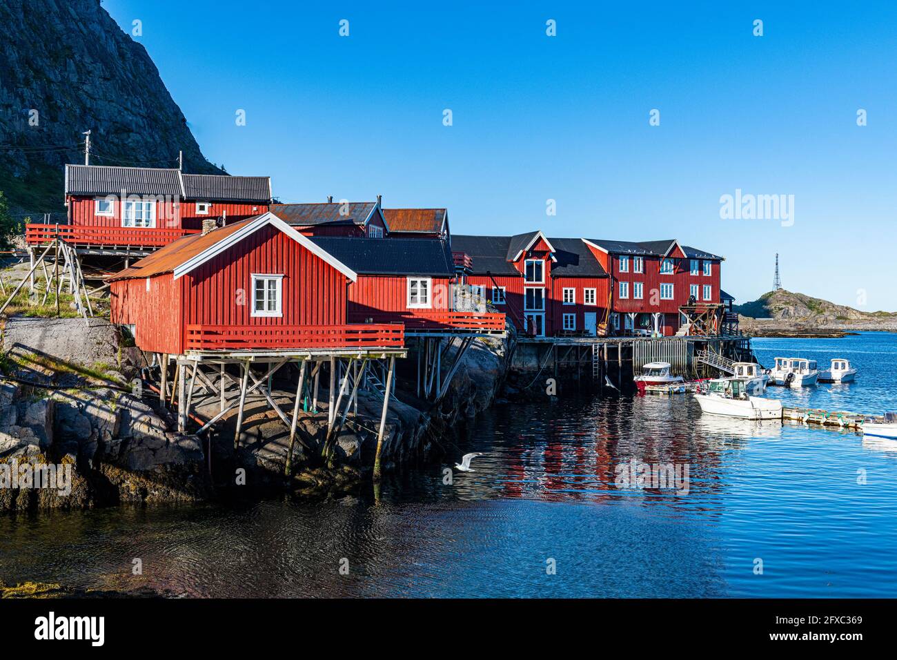 Rote Häuser unter blauem Himmel in Lofoten, Norwegen Stockfoto