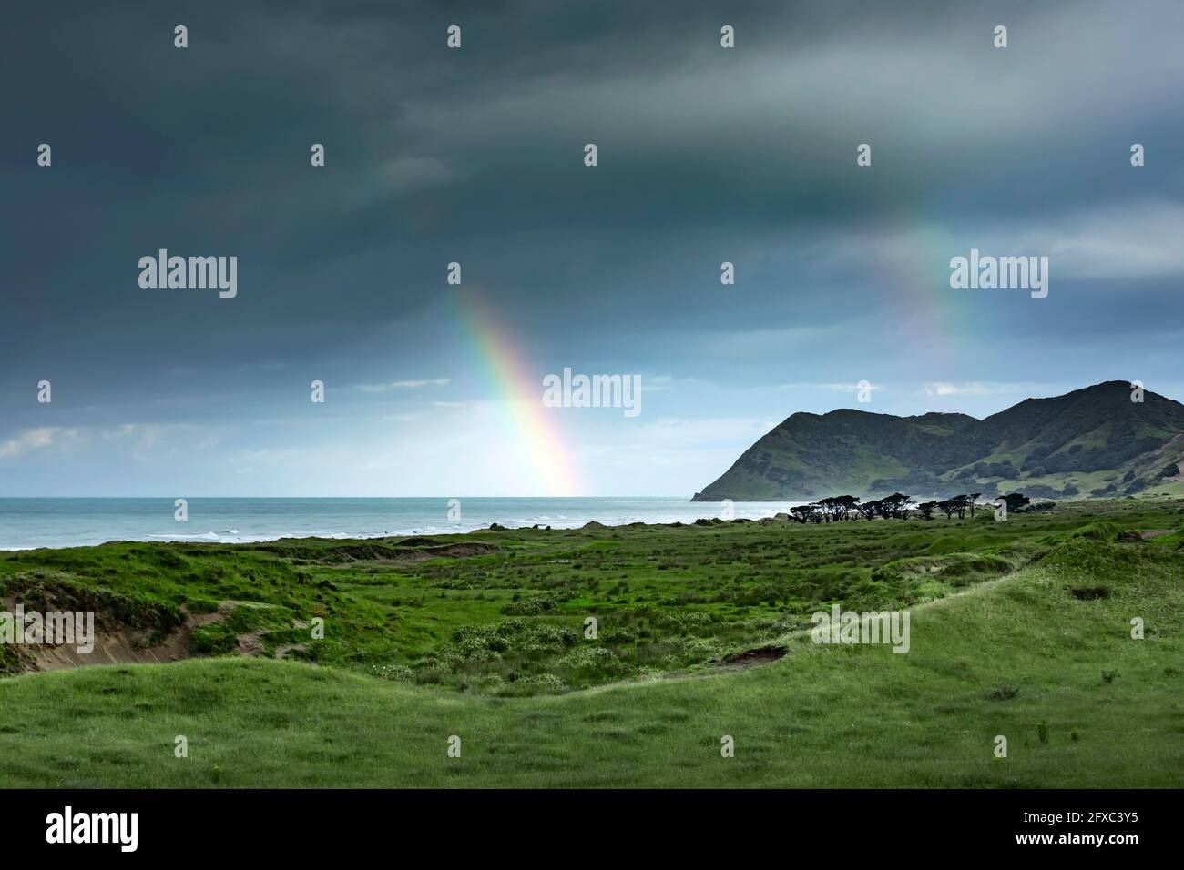 Zweifacher Regenbogen durchdringende dunkle Sturmwolken über grünem Küstengelände Stockfoto