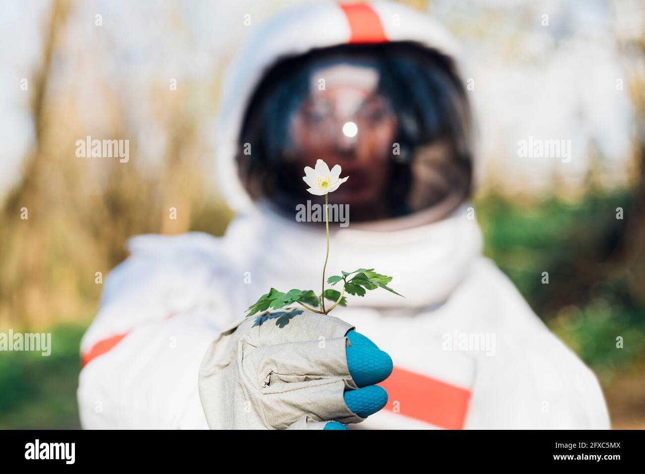 Junge Astronautin mit Blume im Wald Stockfoto